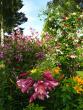 tn_gallery_276_1328_128876.jpg