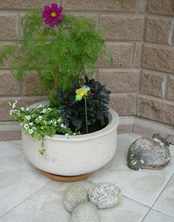 gallery_17549_4388_96851.jpg