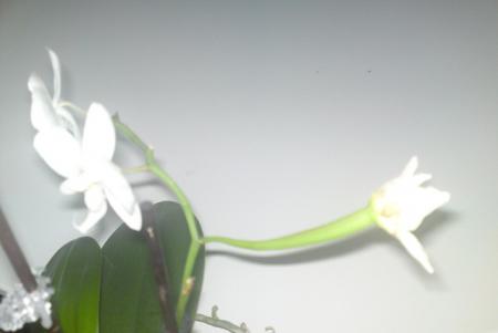 gallery_9647_4420_3212.jpg