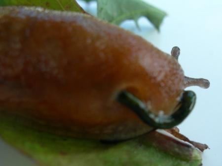 gallery_16329_3606_1015.jpg