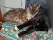 tn_gallery_2892_4431_122405.jpg