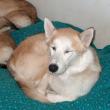 tn_gallery_2892_4431_41362.jpg