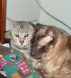 tn_gallery_2892_4431_84637.jpg