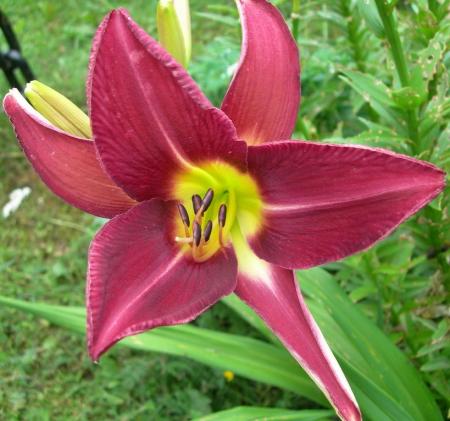 gallery_16329_4230_148014.jpg