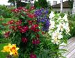 tn_gallery_276_1322_8498.jpg
