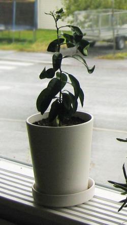 gallery_22161_4460_62075.jpg