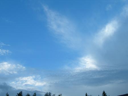 gallery_16329_4230_34676.jpg