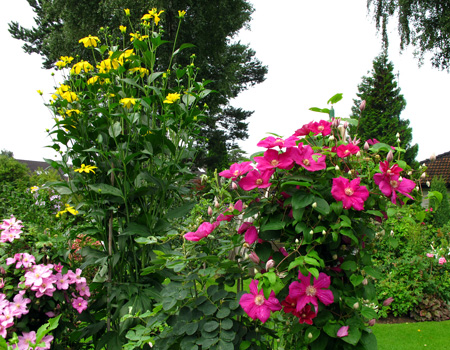 gallery_276_1328_59142.jpg