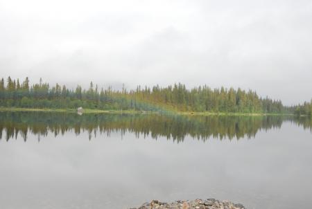 gallery_26801_4255_120550.jpg