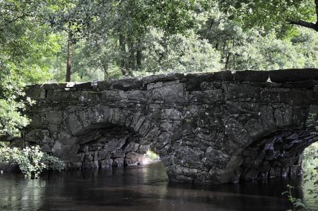gallery_4207_4470_8919.jpg