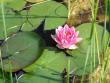 tn_gallery_559_4458_31629.jpg