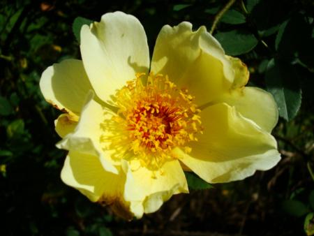 gallery_12789_2988_51649.jpg