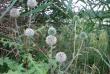 tn_gallery_33169_4478_182761.jpg