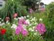 tn_gallery_33228_4482_22232.jpg