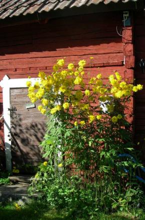 gallery_16329_4230_229583.jpg