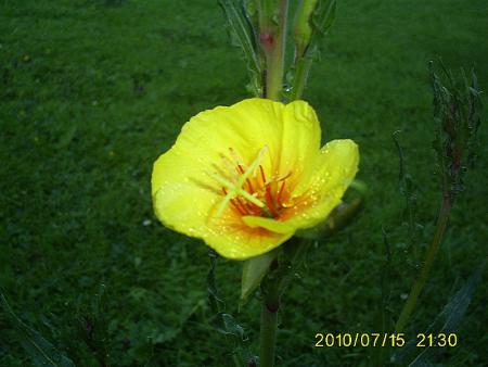 gallery_17660_4492_3019.jpg