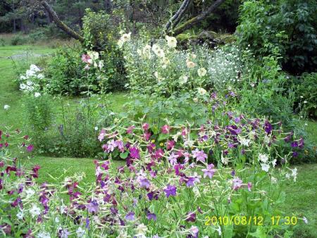 gallery_17660_4492_82597.jpg