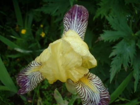 gallery_559_4458_39522.jpg