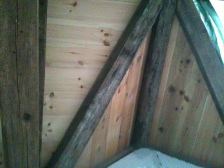 gallery_9317_4033_204110.jpg