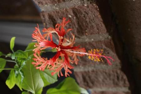 gallery_9372_4490_10257.jpg