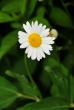 tn_gallery_32951_4476_6868.jpg