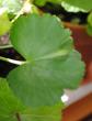 tn_gallery_3622_2396_328836.jpg
