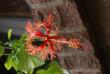 tn_gallery_9372_4490_10257.jpg