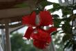 tn_gallery_9372_4490_11819.jpg