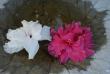 tn_gallery_9372_4490_7499.jpg
