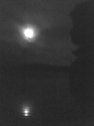 gallery_30236_4283_65557.jpg