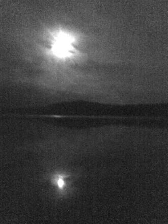 gallery_30236_4283_71543.jpg