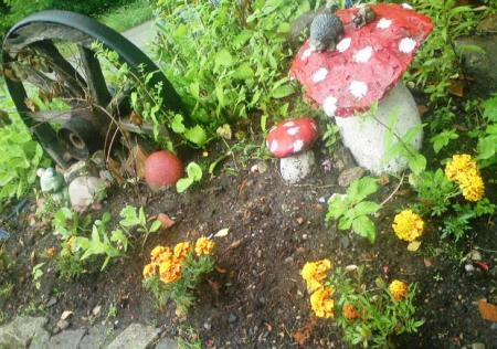 gallery_30236_4357_26503.jpg