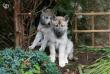 tn_gallery_2892_4431_17539.jpg
