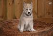 tn_gallery_2892_4431_33444.jpg