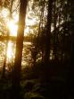 tn_gallery_30236_4283_6418.jpg
