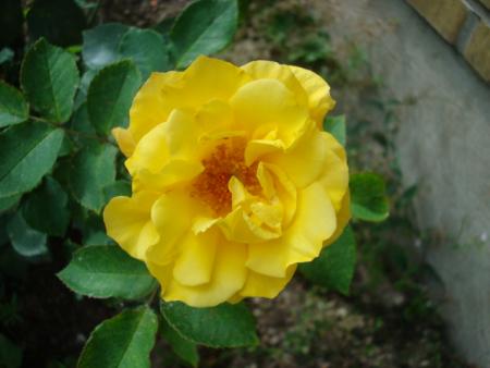 gallery_12789_4210_86113.jpg