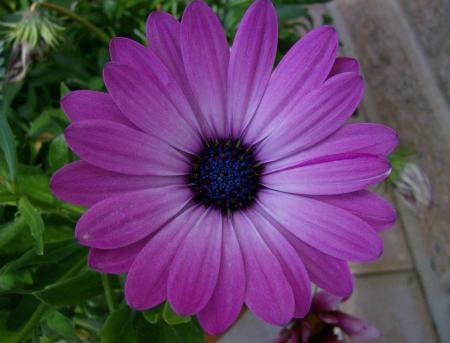 gallery_17549_4388_44510.jpg