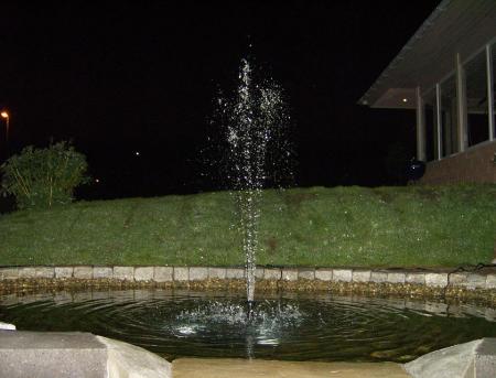 gallery_17549_4419_66062.jpg