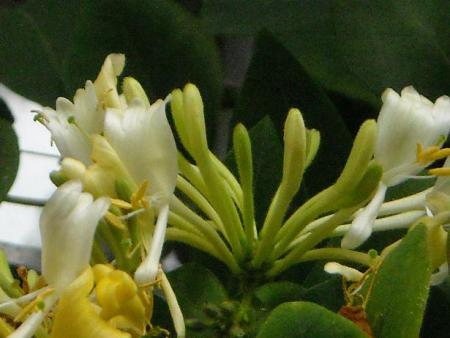 gallery_33504_4507_34552.jpg
