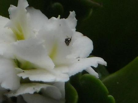 gallery_33504_4507_44380.jpg