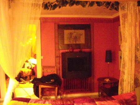 gallery_33504_4524_53555.jpg