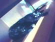 tn_gallery_21199_4528_20849.jpg