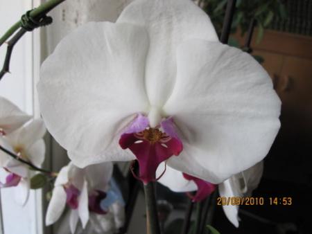 gallery_8211_4530_6374.jpg