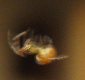 gallery_2529_1143_4640.jpg