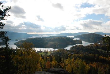 gallery_26801_4255_8510.jpg