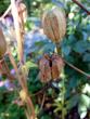 tn_gallery_72_1784_81176.jpg