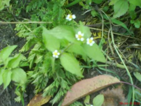 gallery_18273_4547_50827.jpg