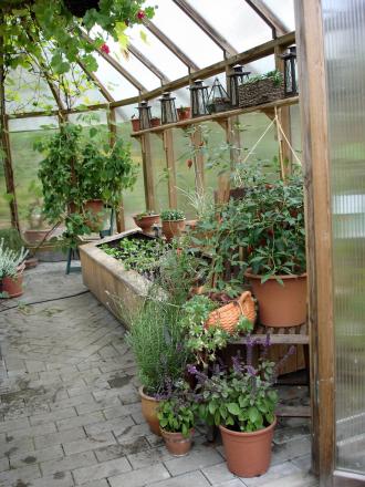 gallery_4207_2041_134567.jpg
