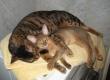 tn_gallery_34286_4546_19414.jpg