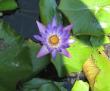 tn_gallery_34286_4549_8726.jpg